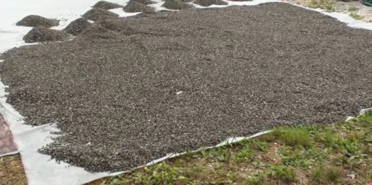 gravel epoxy pool deck